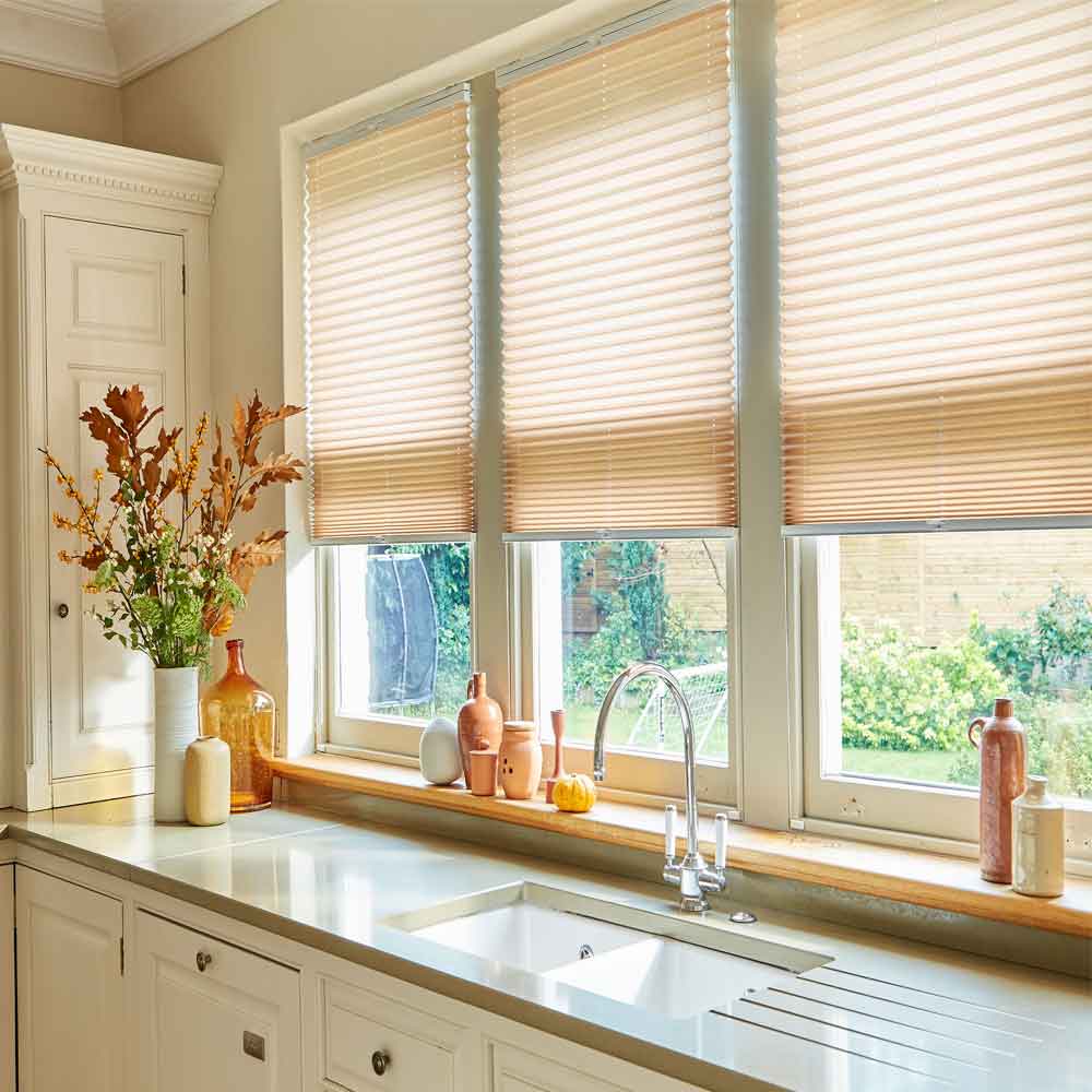 Pleated blinds in Cambridge